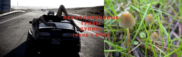 гашик Алзамай