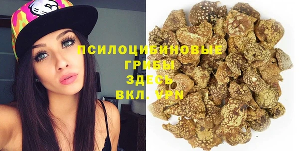 гашик Покров