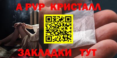 стаф Сланцы