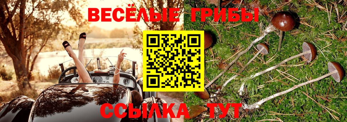 Галлюциногенные грибы Cubensis  купить наркотики сайты  Узловая  Вход с VPN 